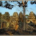 Angkor 550