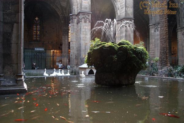 twg_slideshow