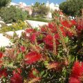 Algarve-Suites_Alba_Resort_15