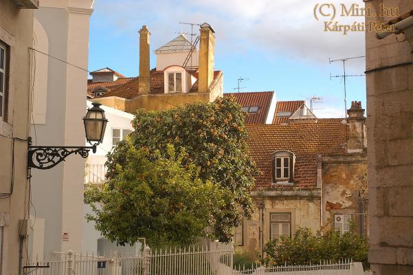 twg_slideshow