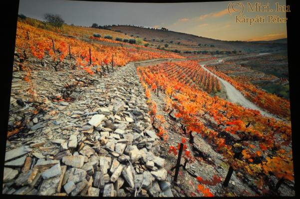 twg_slideshow