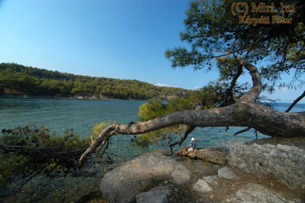 twg_slideshow