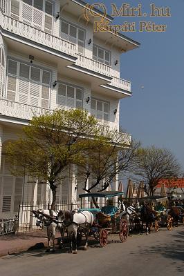 twg_slideshow