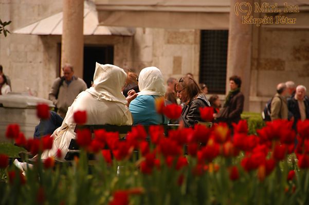 twg_slideshow