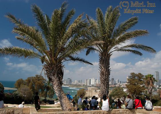 twg_slideshow