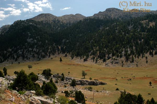 twg_slideshow