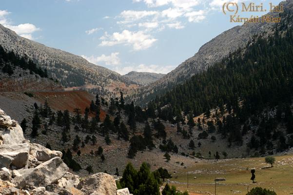 twg_slideshow