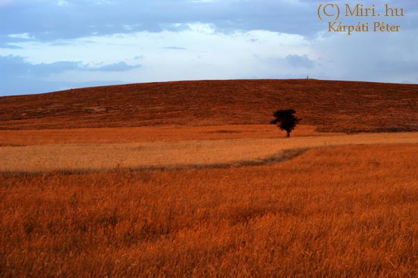 twg_slideshow