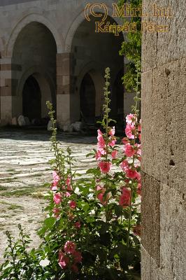 twg_slideshow